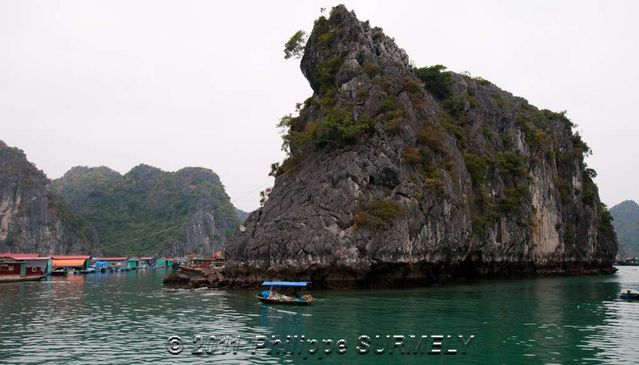 Rocher
Mots-clés: Asie;Vietnam;Halong;Catba