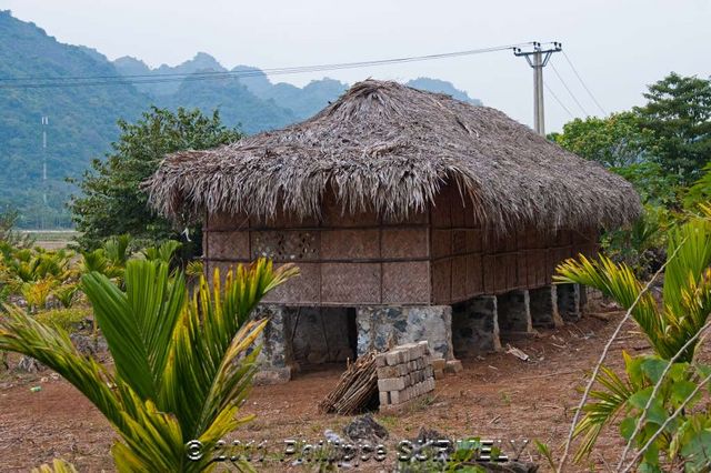 Maison traditionnelle
Keywords: Asie;Vietnam;Halong;Catba