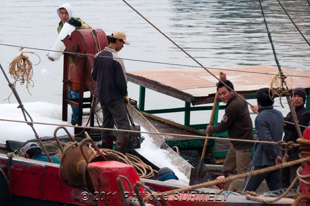 Chargement de glace pile sur le bateau
Mots-clés: Asie;Vietnam;Halong;Catba