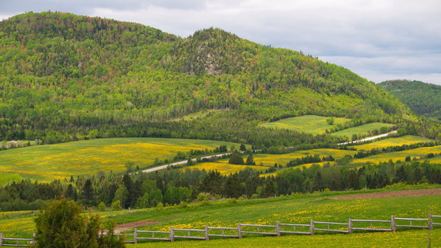 Les Eboulements
Paysage
Mots-clés: Amrique;Canada;Qubec;Charlevoix