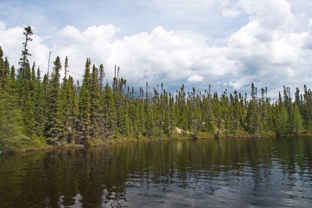 Parc des Grands Jardins
Lac Turgeon
Mots-clés: Amrique;Canada;Qubec;Charlevoix;parc naturel