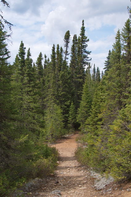 Parc des Grands Jardins
Sentier dans le parc
Mots-clés: Amrique;Canada;Qubec;Charlevoix;parc naturel