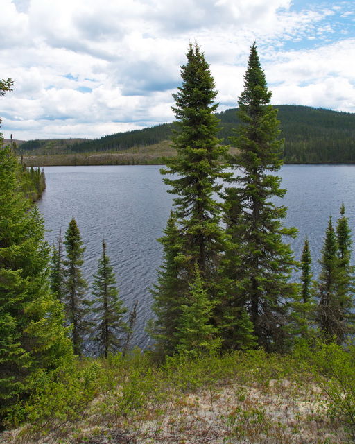 Parc des Grands Jardins
Lac Turgeon
Mots-clés: Amrique;Canada;Qubec;Charlevoix;parc naturel