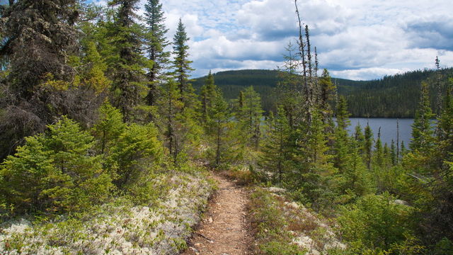 Parc des Grands Jardins
Sentier dans le parc
Mots-clés: Amrique;Canada;Qubec;Charlevoix;parc naturel