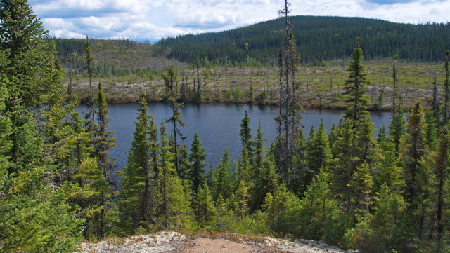 Parc des Grands Jardins
Lac Turgeon
Mots-clés: Amrique;Canada;Qubec;Charlevoix;parc naturel
