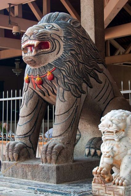 Lion
Mots-clés: Asie;Vietnam;Mkong;Chaudoc;statue