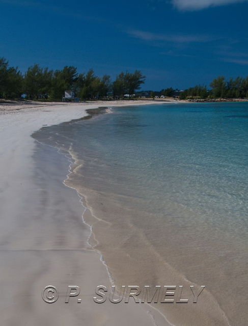 Clearwater Beach
Keywords: Am�rique du Nord;Bermudes;Atlantique;oc�an;plage