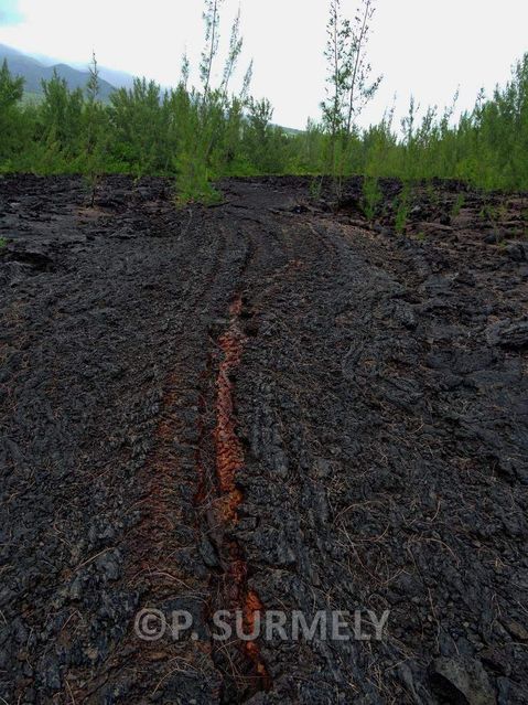 Lave prs du Cratre 1986
Mots-clés: Europe;France;DOM;Runion;volcan;lave