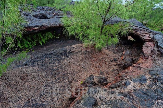 Rivire de lave prs du Cratre 1986
Mots-clés: Europe;France;DOM;Runion;volcan;lave