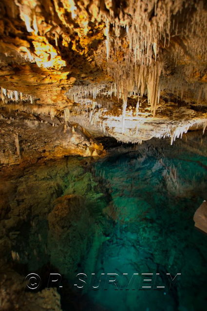 Fantasy Cave
Mots-clés: Amrique du Nord;Bermudes;grotte