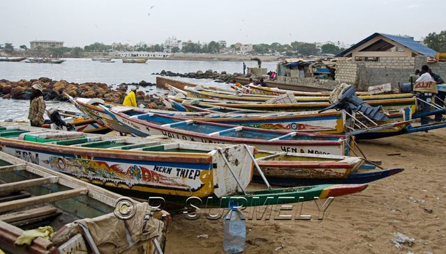 Dakar
Mots-clés: Afrique;Sngal;Dakar