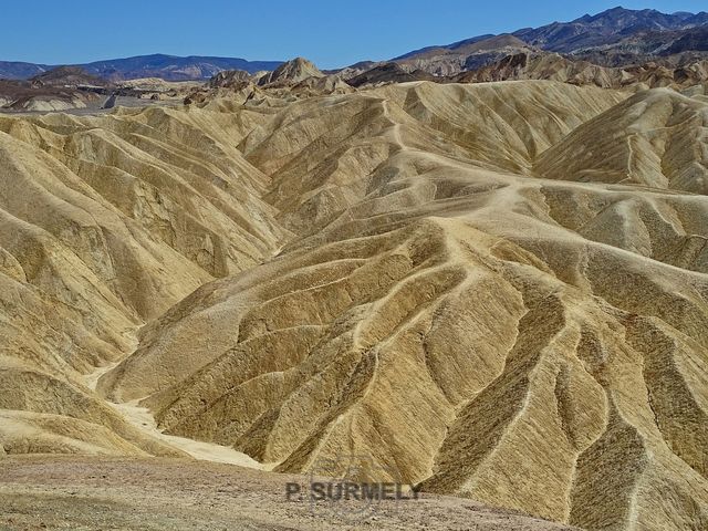 Death Valley National Park : Zabriskie Point
Mots-clés: Amérique;Amérique du Nord;Etats-Unis;USA;California;Nevada;Death Valley National Park;parc national;Vallée de la Mort