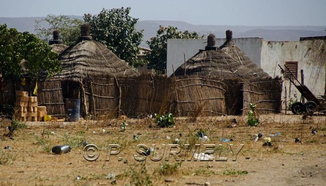 Diamniadio
Mots-clés: Afrique;Sngal;Diamniadio