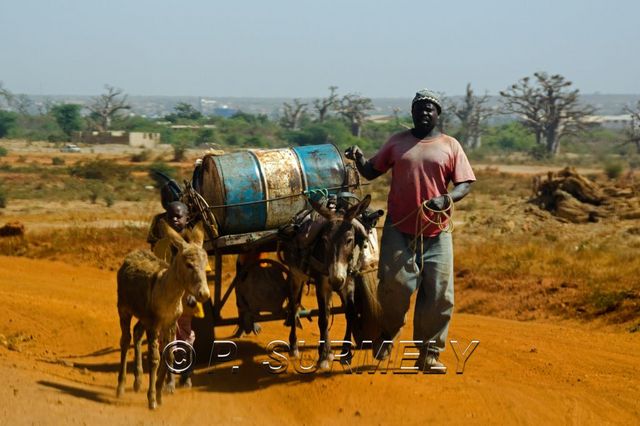 Diamniadio
Mots-clés: Afrique;Sngal;Diamniadio