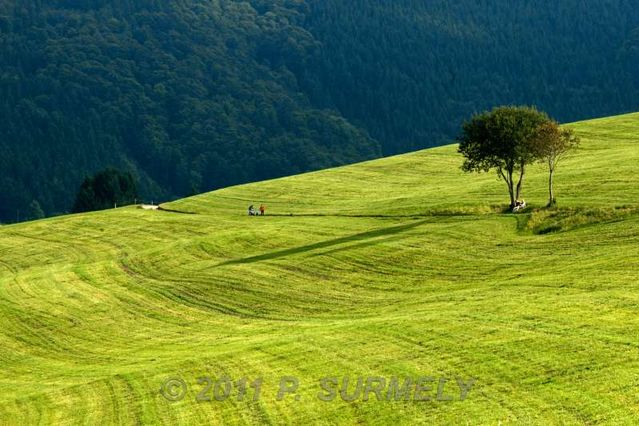 Eckhof
Prs
Mots-clés: Europe;Allemagne;Bade-Wurtemberg;Foret-Noire