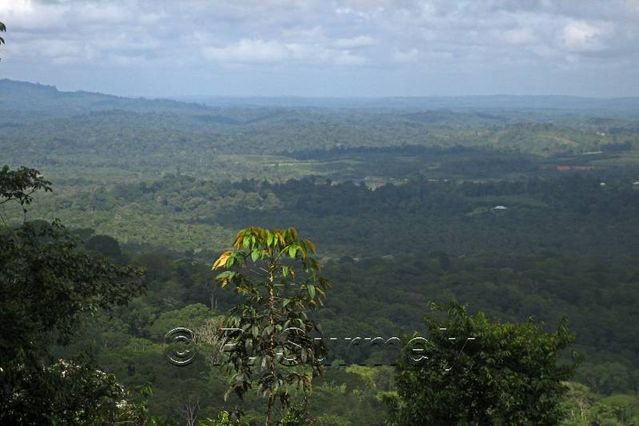 Vue depuis les hauts de Fourgassi
Mots-clés: Guyane;Amrique;fort;piste;Roura