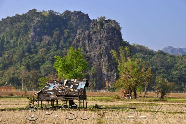 Gnommalath
dans les rizires
Mots-clés: Laos;Asie;Thakhek