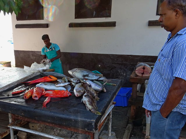 March� aux poissons � Grand Baie
Keywords: Afrique;Oc�an Indien;Ile Maurice;Maurice;Grand Baie;march�;poisson