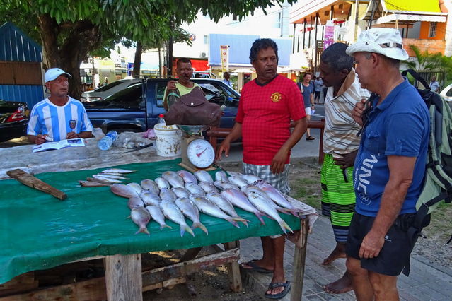 March aux poissons  Grand Baie
Mots-clés: Afrique;Ocan Indien;Ile Maurice;Maurice;Grand Baie;march;poisson