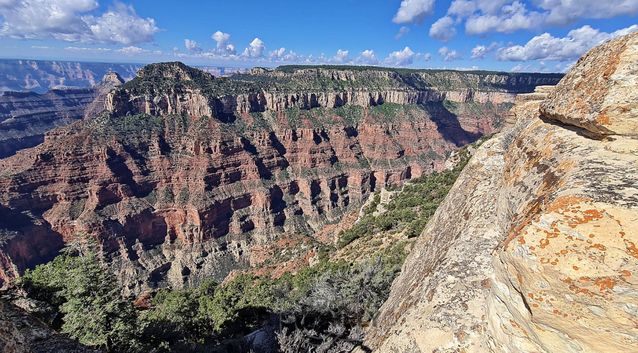 Grand Canyon National Park
Mots-clés: Amérique;Amérique du Nord;Etats-Unis;USA;Utah;Grand Canyon National Park;parc national;Colorado