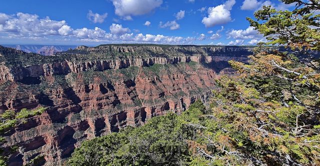 Grand Canyon National Park
Mots-clés: Amérique;Amérique du Nord;Etats-Unis;USA;Utah;Grand Canyon National Park;parc national;Colorado