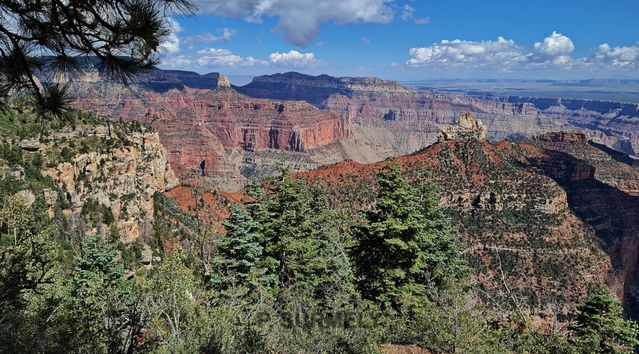 Grand Canyon National Park
Mots-clés: Amérique;Amérique du Nord;Etats-Unis;USA;Utah;Grand Canyon National Park;parc national;Colorado