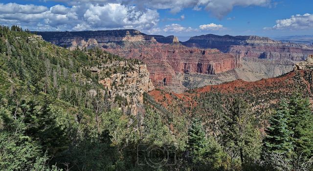 Grand Canyon National Park
Mots-clés: Amérique;Amérique du Nord;Etats-Unis;USA;Utah;Grand Canyon National Park;parc national;Colorado