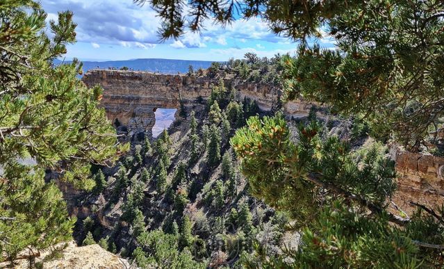 Grand Canyon National Park
Mots-clés: Amérique;Amérique du Nord;Etats-Unis;USA;Utah;Grand Canyon National Park;parc national;Colorado