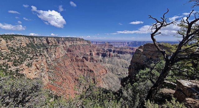 Grand Canyon National Park
Mots-clés: Amérique;Amérique du Nord;Etats-Unis;USA;Utah;Grand Canyon National Park;parc national;Colorado