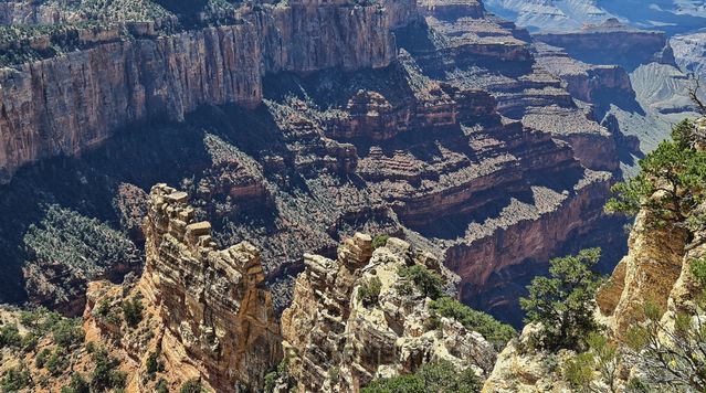 Grand Canyon National Park
Mots-clés: Amérique;Amérique du Nord;Etats-Unis;USA;Utah;Grand Canyon National Park;parc national;Colorado