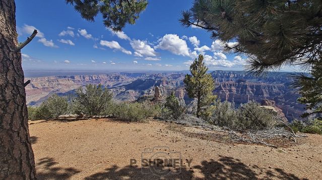 Grand Canyon National Park
Mots-clés: Amérique;Amérique du Nord;Etats-Unis;USA;Utah;Grand Canyon National Park;parc national;Colorado