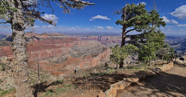 Grand Canyon National Park
Mots-clés: Amérique;Amérique du Nord;Etats-Unis;USA;Utah;Grand Canyon National Park;parc national;Colorado