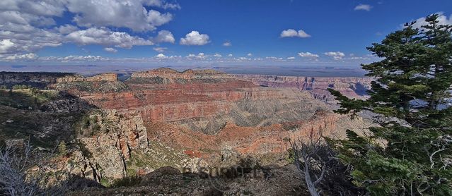 Grand Canyon National Park
Mots-clés: Amérique;Amérique du Nord;Etats-Unis;USA;Utah;Grand Canyon National Park;parc national;Colorado