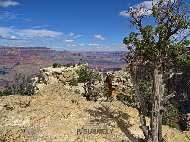 Grand Canyon National Park
Mots-clés: Amérique;Amérique du Nord;Etats-Unis;USA;Utah;Grand Canyon National Park;parc national;Colorado