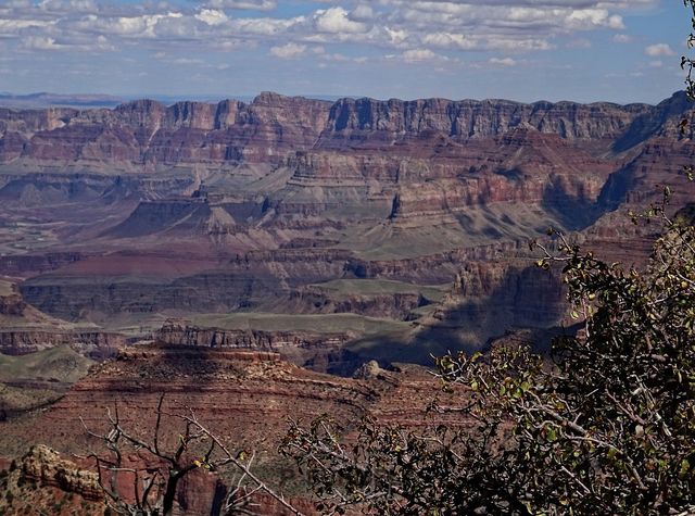 Grand Canyon National Park
Mots-clés: Amérique;Amérique du Nord;Etats-Unis;USA;Utah;Grand Canyon National Park;parc national;Colorado