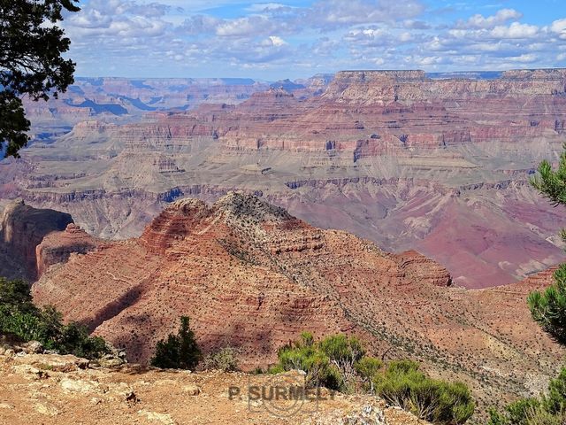 Grand Canyon National Park
Mots-clés: Amérique;Amérique du Nord;Etats-Unis;USA;Utah;Grand Canyon National Park;parc national;Colorado