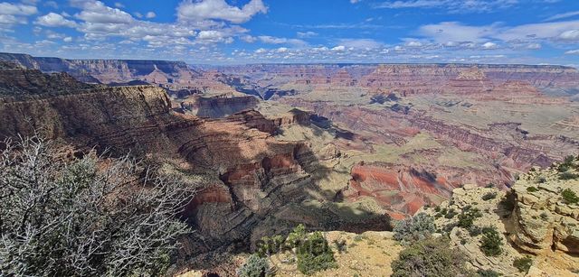 Grand Canyon National Park
Mots-clés: Amérique;Amérique du Nord;Etats-Unis;USA;Utah;Grand Canyon National Park;parc national;Colorado