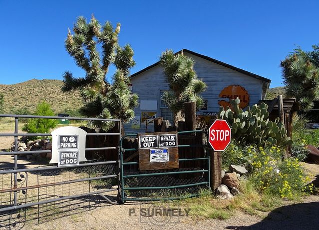 Hackberry General Store
Mots-clés: Amérique;Am&rique du Nord;Etatd-Unis;USA;Arizona;Hackberry;Hackberry General Store