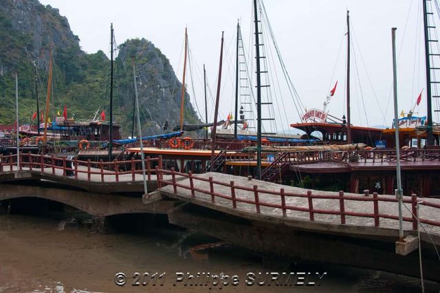 Quai dfonc
Mots-clés: Asie;Vietnam;Halong;Unesco