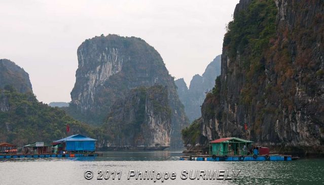 Baie de Halong
Mots-clés: Asie;Vietnam;Halong;Unesco