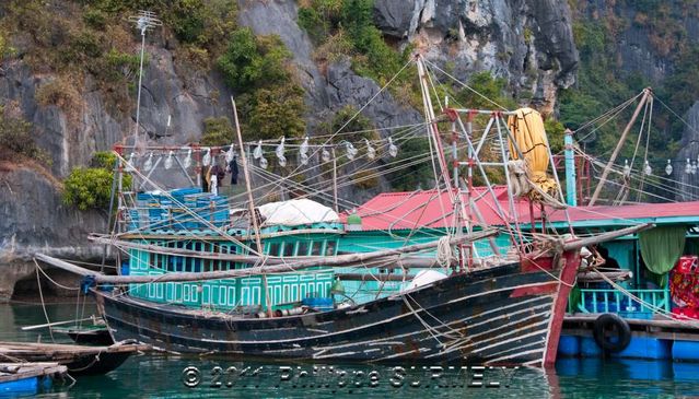 Bteau de pche
Mots-clés: Asie;Vietnam;Halong;Unesco