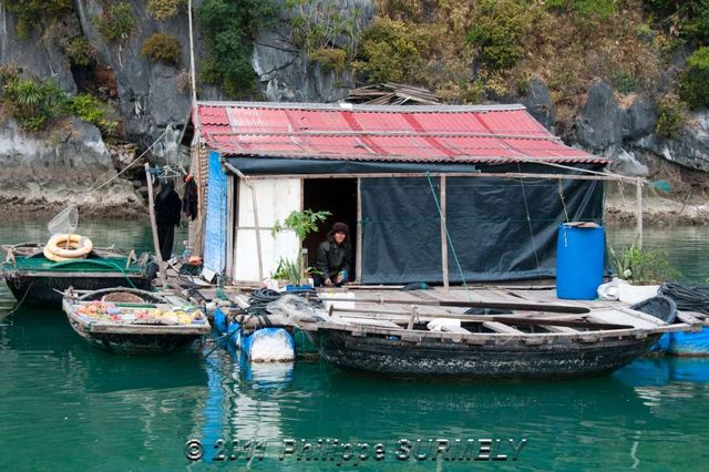 Maison flottante
Mots-clés: Asie;Vietnam;Halong;Unesco