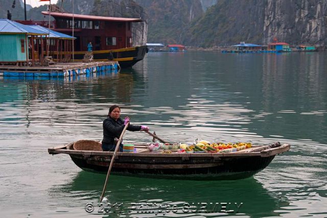 Pcheur
Mots-clés: Asie;Vietnam;Halong;Unesco