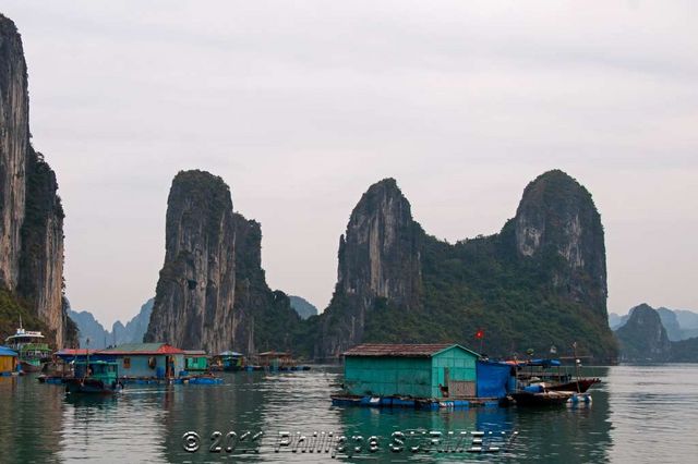 Baie de Halong
Mots-clés: Asie;Vietnam;Halong;Unesco