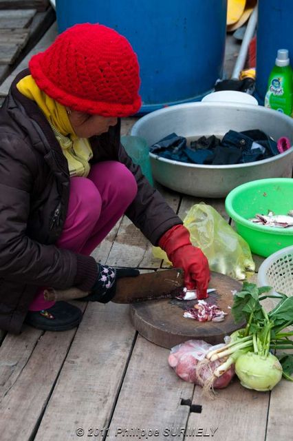 Gamine en cuisine
Mots-clés: Asie;Vietnam;Halong;Unesco