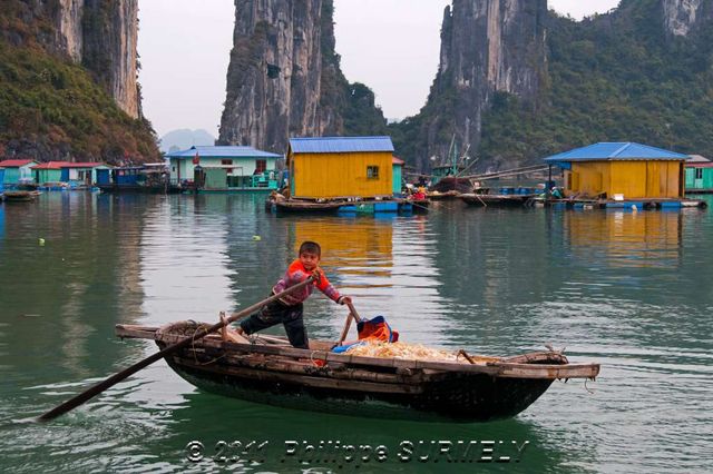 Village de pcheurs
Mots-clés: Asie;Vietnam;Halong;Unesco