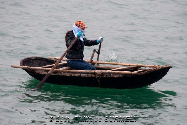 Coque de noix
Mots-clés: Asie;Vietnam;Halong;Unesco