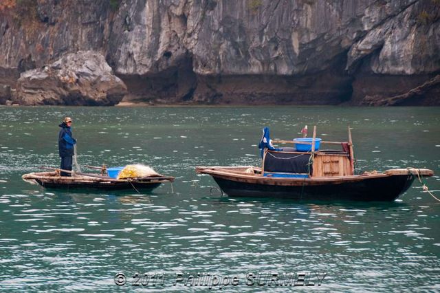 Pcheur
Mots-clés: Asie;Vietnam;Halong;Unesco