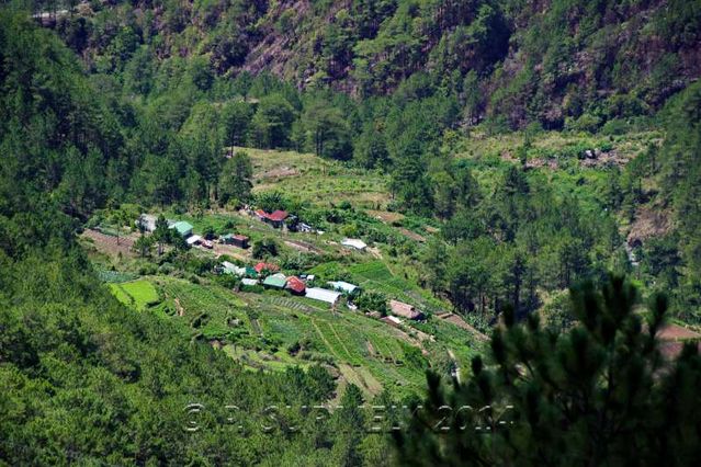 Halsema Highway
Village
Mots-clés: Asie;Philippines;Luzon;Mountain Province