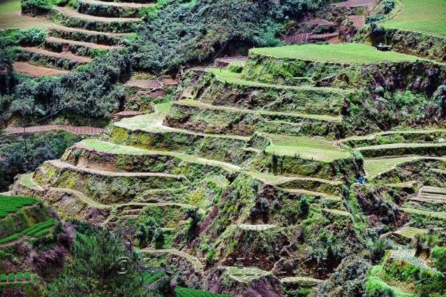 Halsema Highway
Cultures en terrasse
Mots-clés: Asie;Philippines;Luzon;Mountain Province